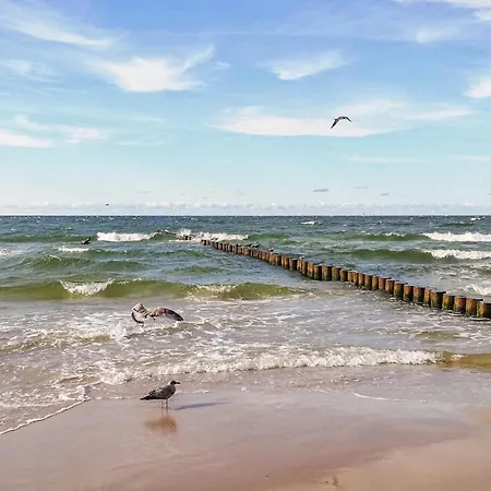 別荘 Gorgeous Home In Ustka With Wifi