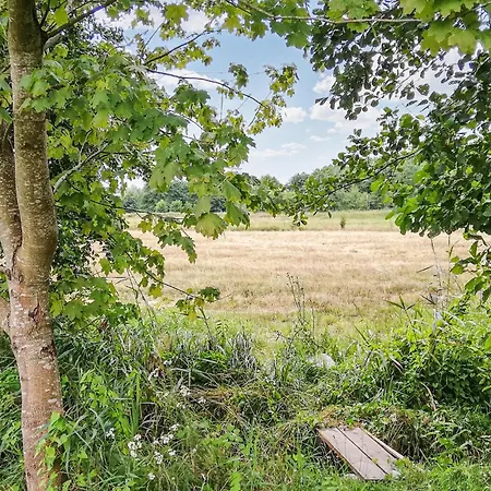 Pet Friendly In With Wifi Ustka