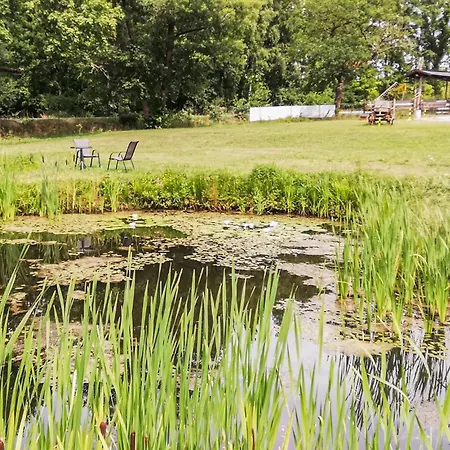 Pet Friendly In With Wifi *