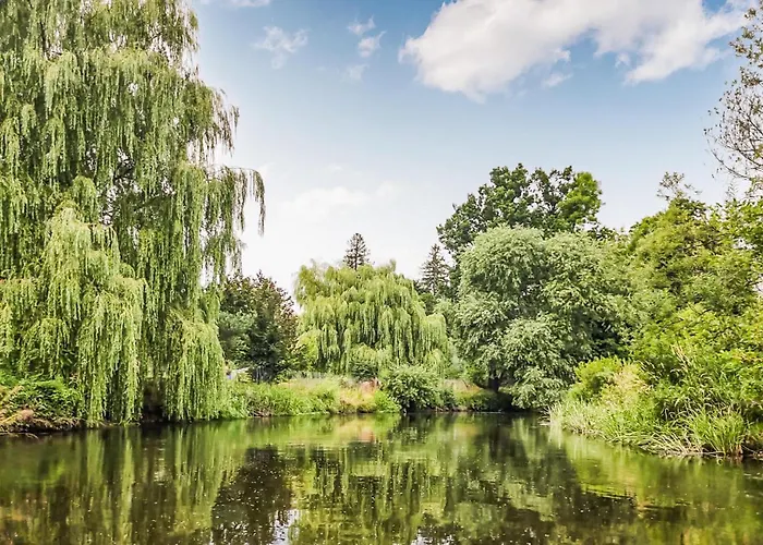 Pet Friendly In With Wifi أوستكا