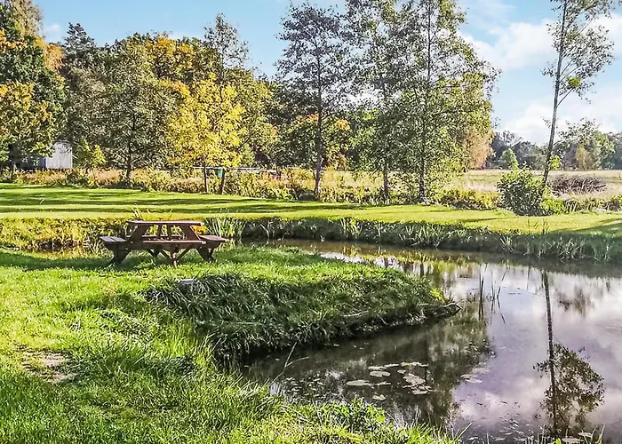 Pet Friendly In With Wifi