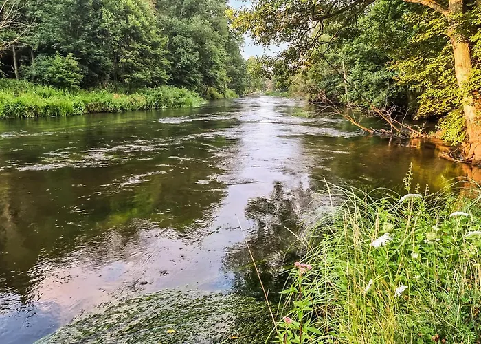 Pet Friendly In With Wifi بيت للعطل *